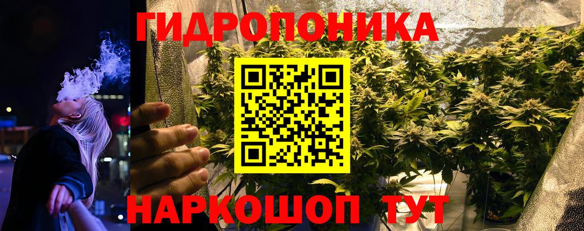 Конопля план Михайловск